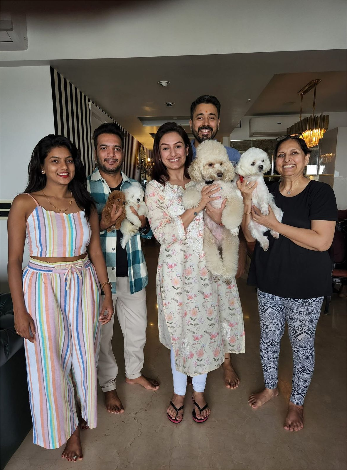 kennel – 12